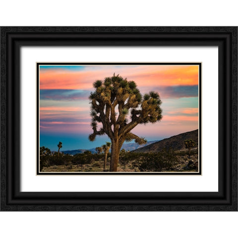 Cotton Candy Tree Black Ornate Wood Framed Art Print with Double Matting by Malone, Will