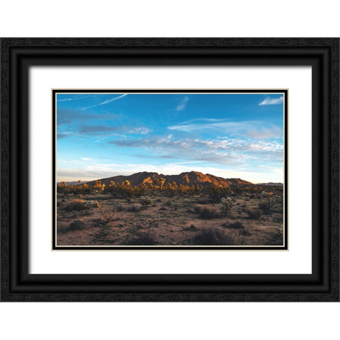 Desert Sky Black Ornate Wood Framed Art Print with Double Matting by Malone, Will