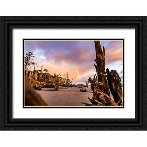 Amelia 1 Black Ornate Wood Framed Art Print with Double Matting by Malone, Will