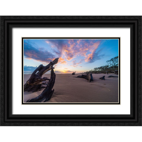 Amelia 3 Black Ornate Wood Framed Art Print with Double Matting by Malone, Will