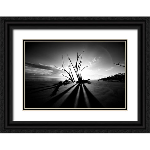 Shadow BW Black Ornate Wood Framed Art Print with Double Matting by Malone, Will
