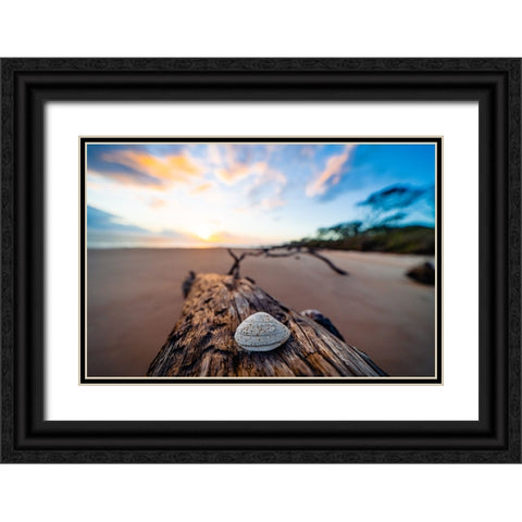 She Sells Seashells Black Ornate Wood Framed Art Print with Double Matting by Malone, Will