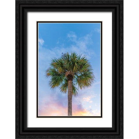 DeLand Sunset Black Ornate Wood Framed Art Print with Double Matting by Malone, Will