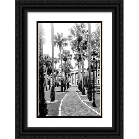 Morning Palms Black Ornate Wood Framed Art Print with Double Matting by Malone, Will