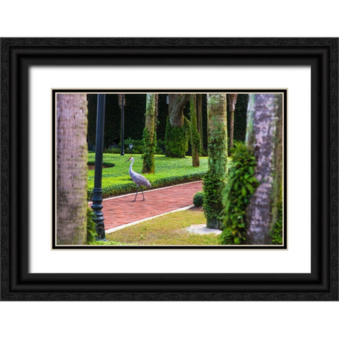 Bird About Town Black Ornate Wood Framed Art Print with Double Matting by Malone, Will