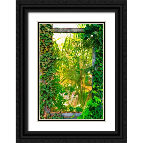 The Window Black Ornate Wood Framed Art Print with Double Matting by Malone, Will