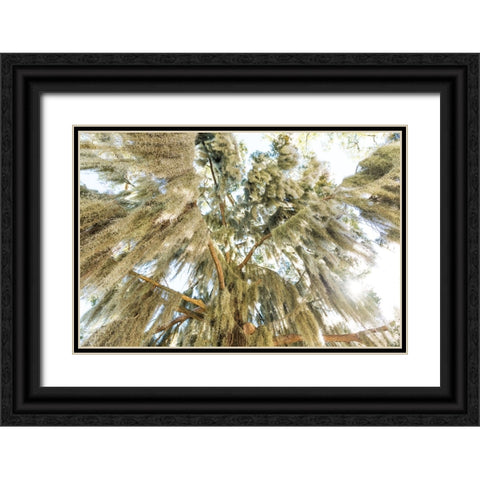 Spanish Moss 3 Black Ornate Wood Framed Art Print with Double Matting by Malone, Will