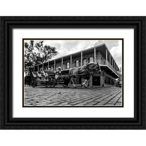 Horse Tour Black Ornate Wood Framed Art Print with Double Matting by Malone, Will