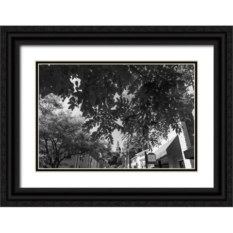 Maryland Capital Black Ornate Wood Framed Art Print with Double Matting by Malone, Will