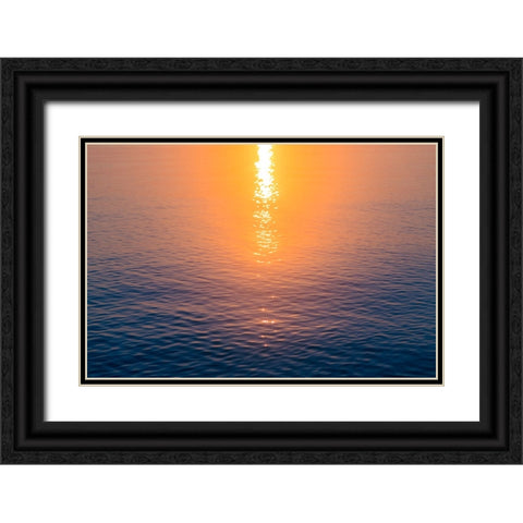 Morning Sun Black Ornate Wood Framed Art Print with Double Matting by Malone, Will