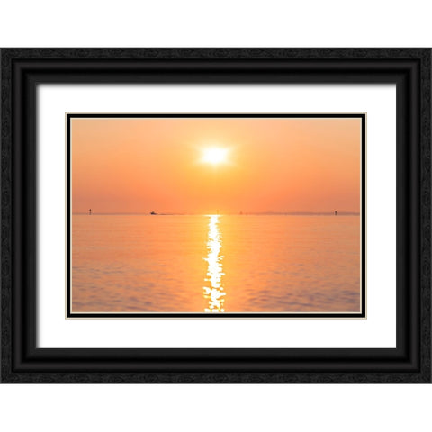 Morning Sun 2 Black Ornate Wood Framed Art Print with Double Matting by Malone, Will