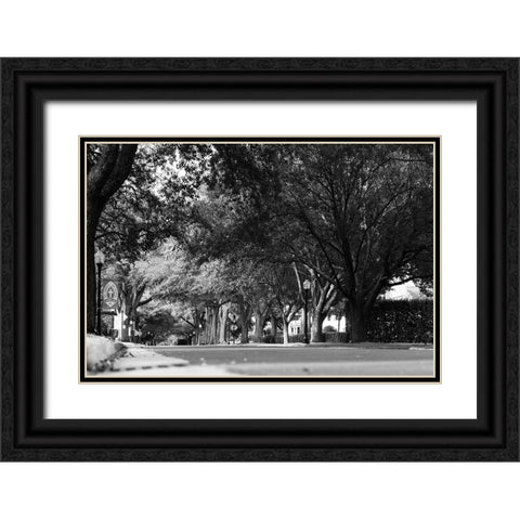 5th Ave Black Ornate Wood Framed Art Print with Double Matting by Malone, Will