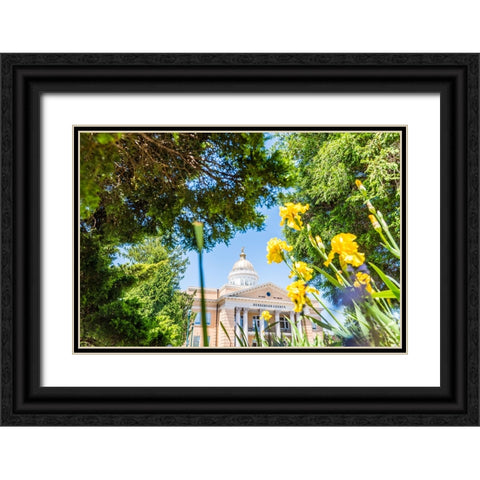Henderson County Courthouse Black Ornate Wood Framed Art Print with Double Matting by Malone, Will