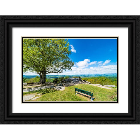 Laurel Park Black Ornate Wood Framed Art Print with Double Matting by Malone, Will