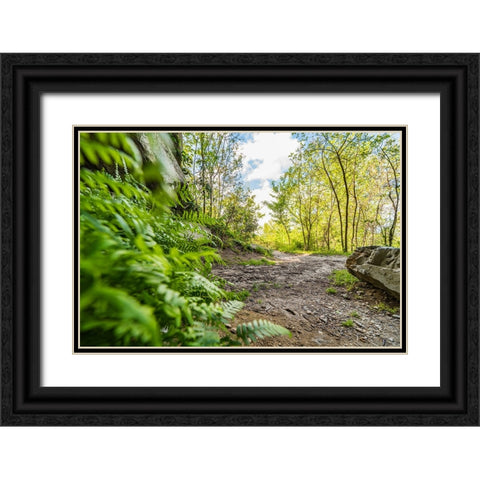 Under the Rock 2 Black Ornate Wood Framed Art Print with Double Matting by Malone, Will