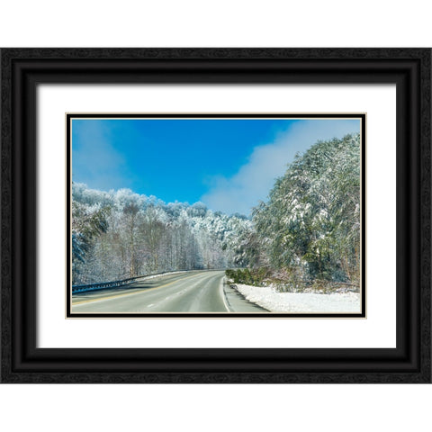 Snow Road Black Ornate Wood Framed Art Print with Double Matting by Malone, Will