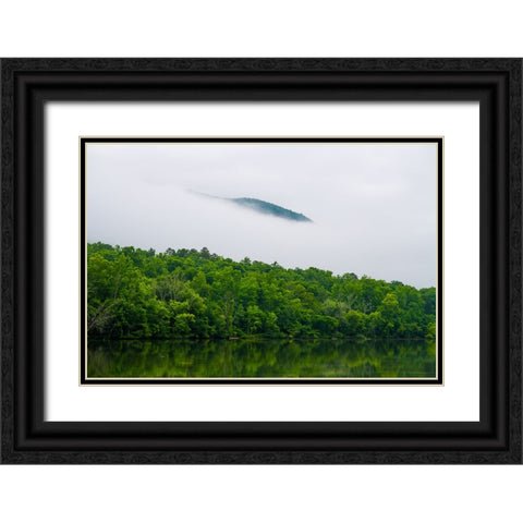 Hidden Black Ornate Wood Framed Art Print with Double Matting by Malone, Will