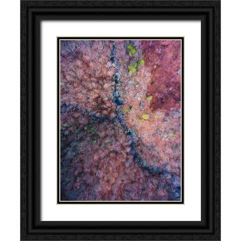 Signal Mountain Aerial  Black Ornate Wood Framed Art Print with Double Matting by Malone, Will