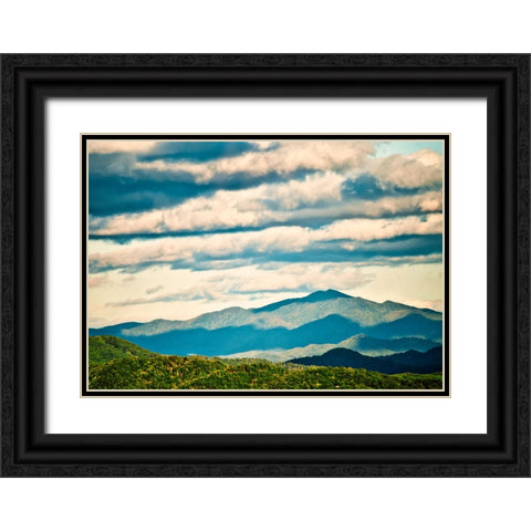 Smokey Black Ornate Wood Framed Art Print with Double Matting by Malone, Will