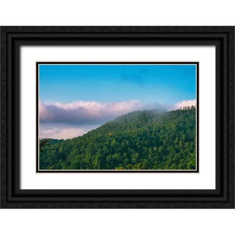 Smokey Morning 2 Black Ornate Wood Framed Art Print with Double Matting by Malone, Will