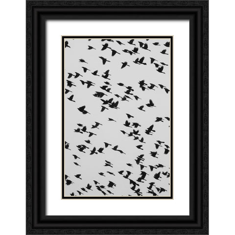 The Birds Black Ornate Wood Framed Art Print with Double Matting by Malone, Will