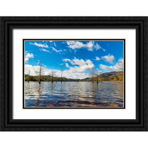 Midday Ocoee Black Ornate Wood Framed Art Print with Double Matting by Malone, Will