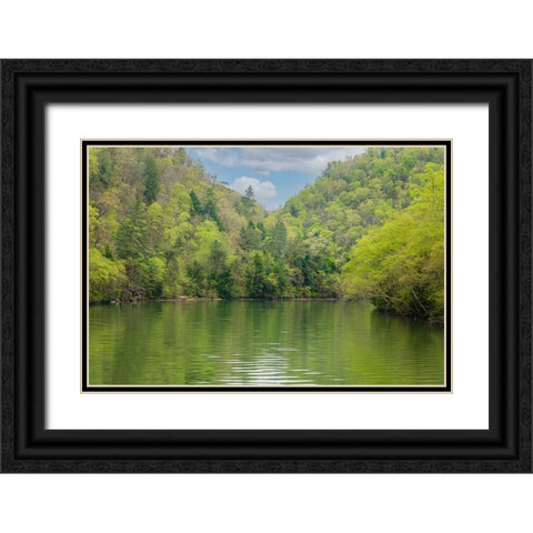 Ocoee Calm Black Ornate Wood Framed Art Print with Double Matting by Malone, Will