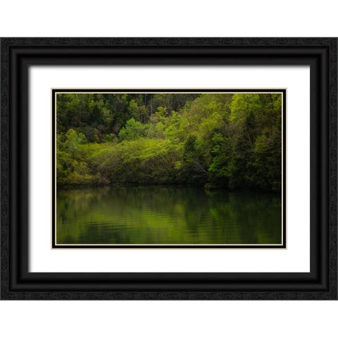 Ocoee Calm 2 Black Ornate Wood Framed Art Print with Double Matting by Malone, Will