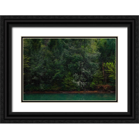 Ocoee Calm 3 Black Ornate Wood Framed Art Print with Double Matting by Malone, Will