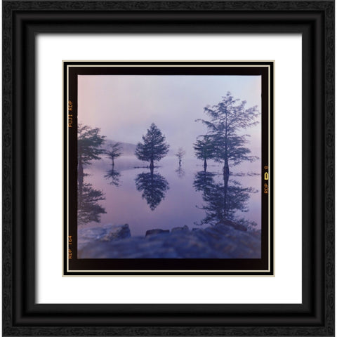Ocoee Fog Black Ornate Wood Framed Art Print with Double Matting by Malone, Will