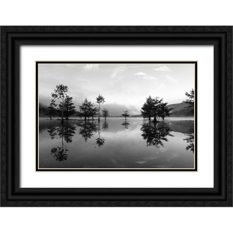 Ocoee Fog 5 Black Ornate Wood Framed Art Print with Double Matting by Malone, Will