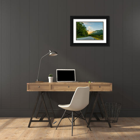 Ocoee Road 2 Black Ornate Wood Framed Art Print with Double Matting by Malone, Will