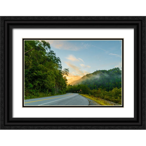 Ocoee Road 2 Black Ornate Wood Framed Art Print with Double Matting by Malone, Will