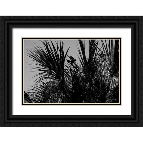 Bird of Palms Black Ornate Wood Framed Art Print with Double Matting by Malone, Will