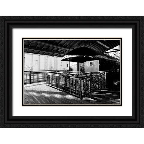 Visitorâ€™s Center Black Ornate Wood Framed Art Print with Double Matting by Malone, Will