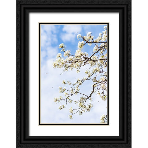 Welcome to Spring Black Ornate Wood Framed Art Print with Double Matting by Malone, Will
