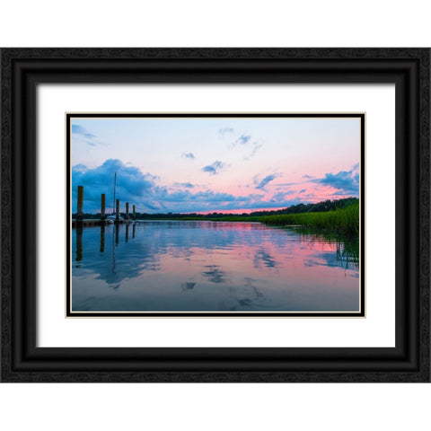 Cotton Candy  Black Ornate Wood Framed Art Print with Double Matting by Malone, Will