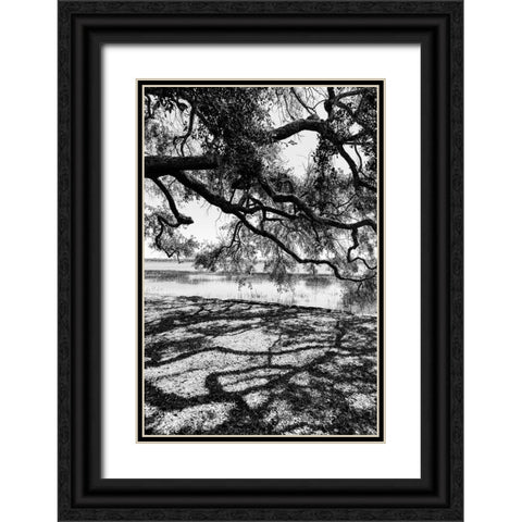 Shady Spot Black Ornate Wood Framed Art Print with Double Matting by Malone, Will