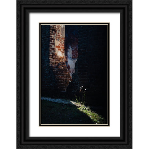 Sunlight Black Ornate Wood Framed Art Print with Double Matting by Malone, Will