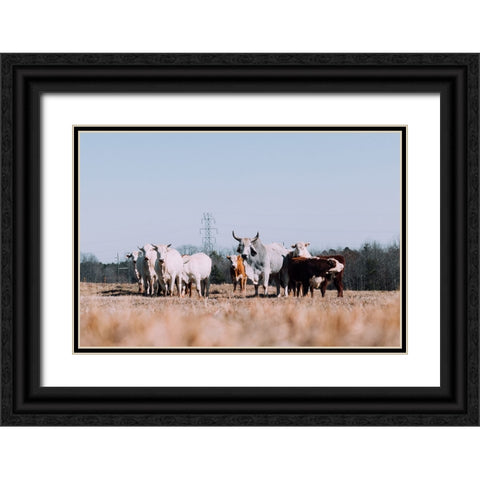 Drawing a Crowd Re-edit Black Ornate Wood Framed Art Print with Double Matting by Malone, Will