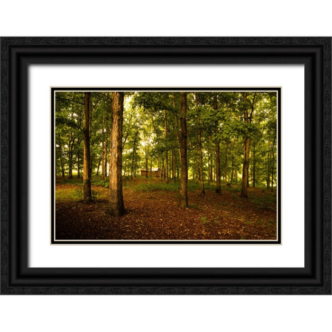 Golden Woods Black Ornate Wood Framed Art Print with Double Matting by Malone, Will