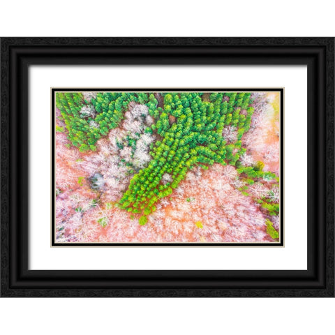 Green Splotch Black Ornate Wood Framed Art Print with Double Matting by Malone, Will