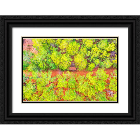 Hunting Shed Black Ornate Wood Framed Art Print with Double Matting by Malone, Will