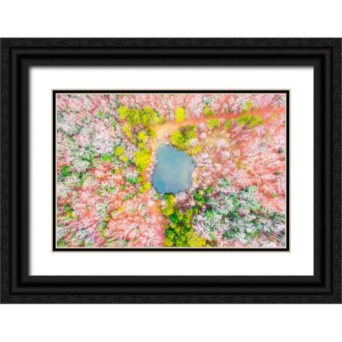 Pond in the Woods  Black Ornate Wood Framed Art Print with Double Matting by Malone, Will
