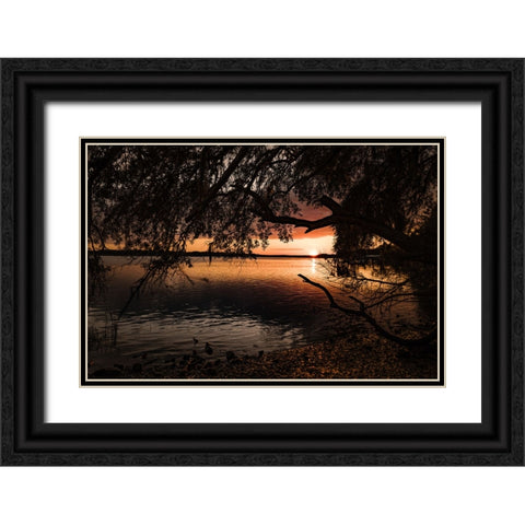Classic Sunset 3 Black Ornate Wood Framed Art Print with Double Matting by Malone, Will
