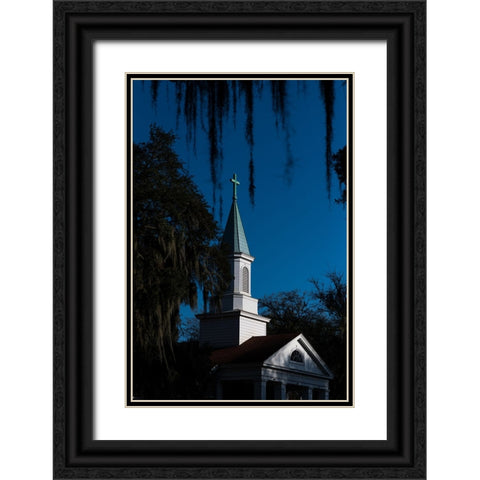 Spanish Moss Steeple Black Ornate Wood Framed Art Print with Double Matting by Malone, Will