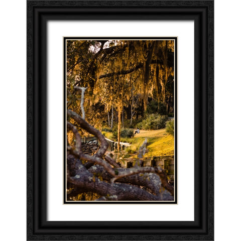 Sunset Spectator Black Ornate Wood Framed Art Print with Double Matting by Malone, Will