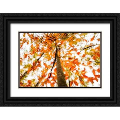 Fall Double 3 Black Ornate Wood Framed Art Print with Double Matting by Malone, Will