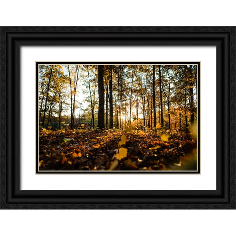 Fall Morning  Black Ornate Wood Framed Art Print with Double Matting by Malone, Will