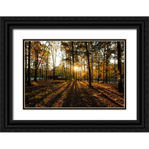 Fall Morning 2 Black Ornate Wood Framed Art Print with Double Matting by Malone, Will